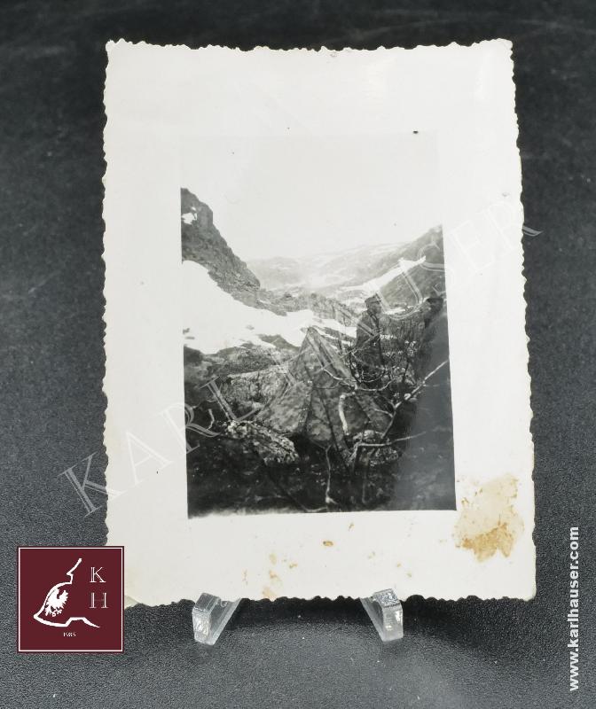 Art.  14