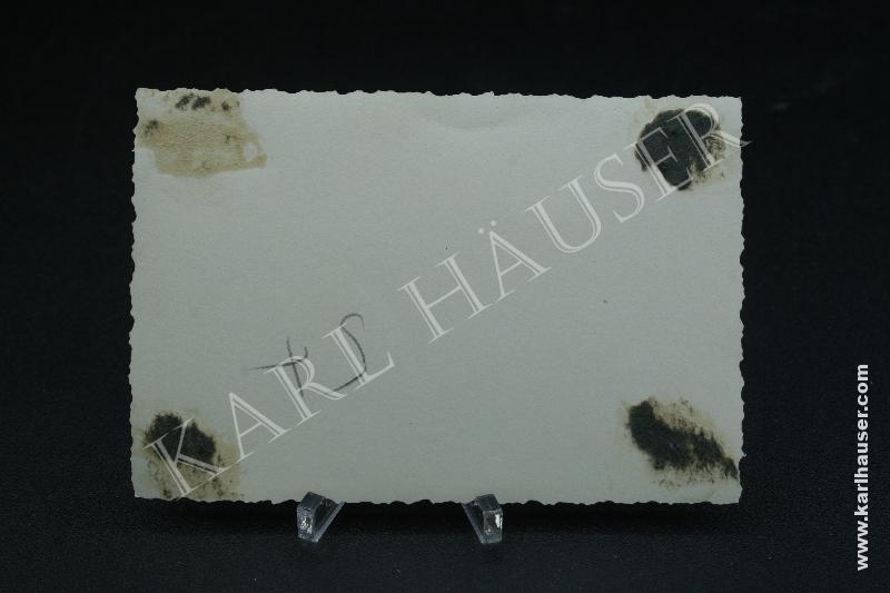 Art.  3