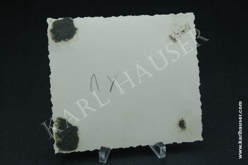 Art.  3