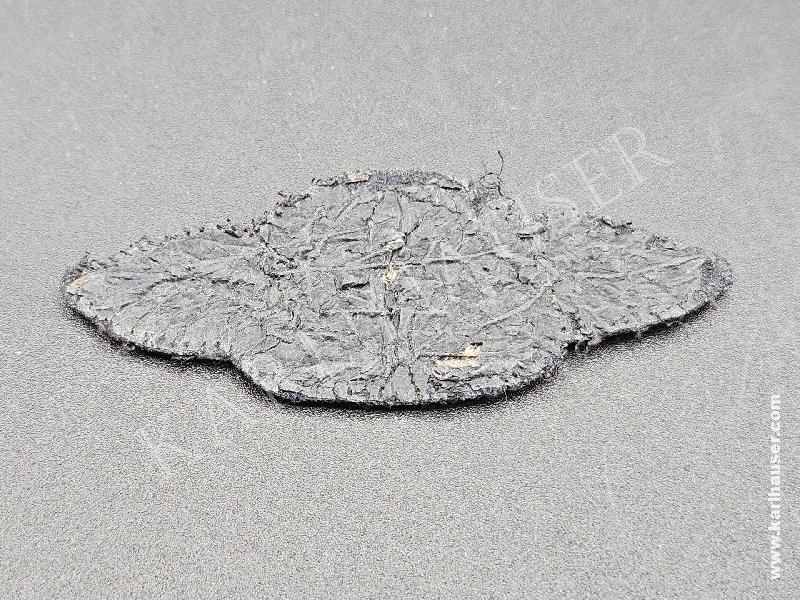 Art.  2