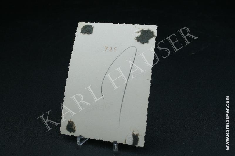 Art.  3